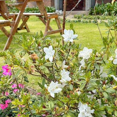 Kent Cottage Nuwara Eliya Luaran gambar