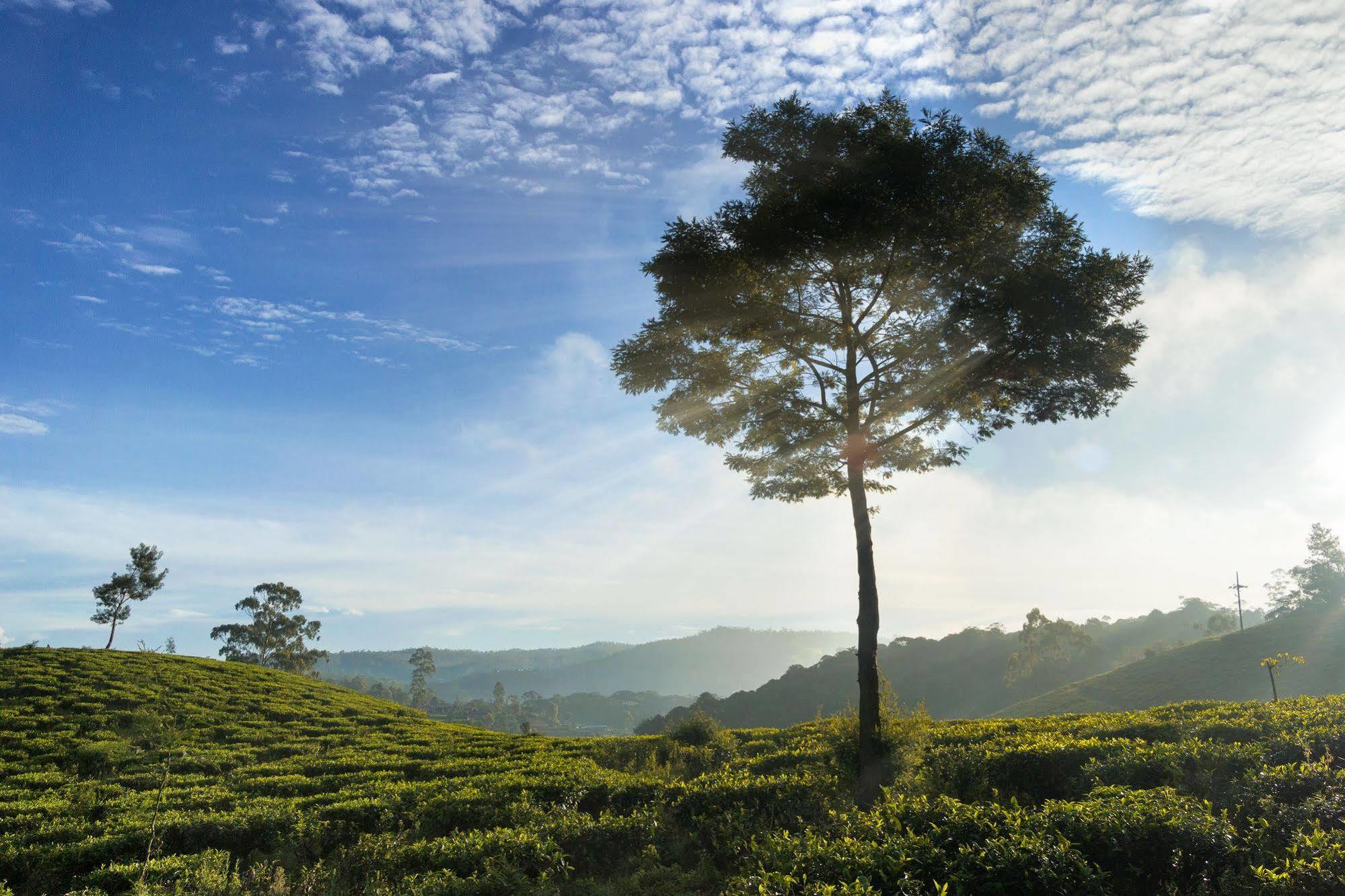 Kent Cottage Nuwara Eliya Luaran gambar